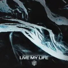 Live My Life