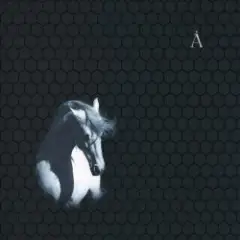 Сокол