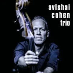 Avishai Cohen — Shuffle