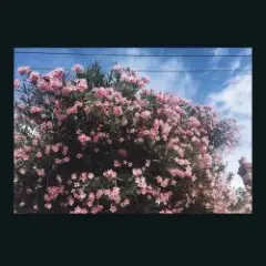 Happy In Your Head