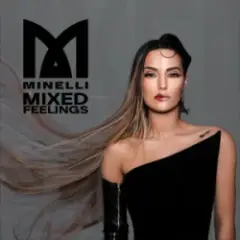 Minelli — 2 Criminals