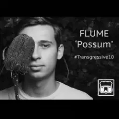 Possum