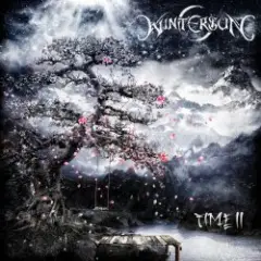 Beyond the Dark Sun (Wintersun cover)