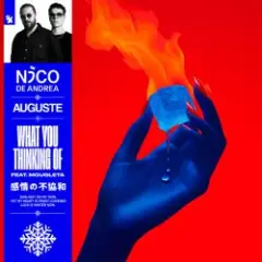 Nico de Andrea & AUGUSTE & Mougleta — What You Thinking Of