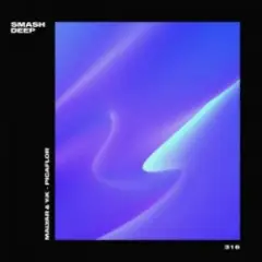 MalYar & Y_K — Picaflo