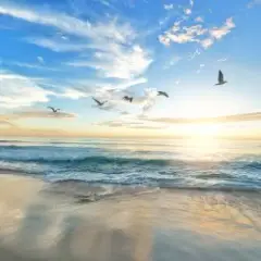 Шум моря, релакс