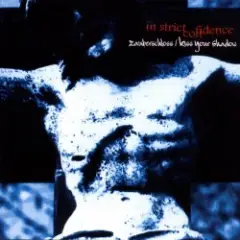 Kiss Your Shadow (French Kiss Mix)
