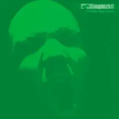 Limp Bizkit — Re-Entry