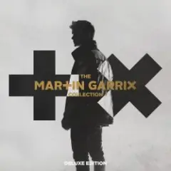 Martin Garrix & Troye Sivan — There For You