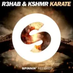 Обложка трека Karate (Remix)