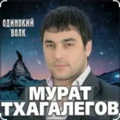 Одинокий волк