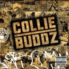 Collie Buddz — Blind To You (Haters)
