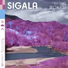 With You (feat. Ely Oaks)