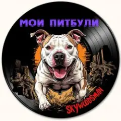 Мои Питбули