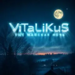 ViTaLiKuS — Ещё майская ночь