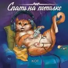 Спать на потолке — Кот