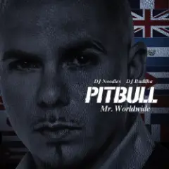 Pitbull — Shut It Down
