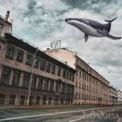 MONOЛИЗА — Карнизы