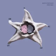 Мышцы головы