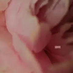 Lewis Capaldi — Survive