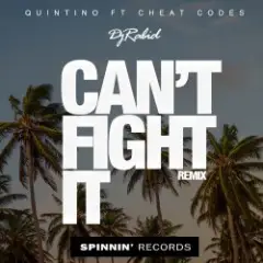Обложка трека Can’t Fight It (Original Mix)