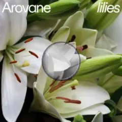 Arovane — Pink Lilies