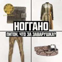 Питон, что за заварушка