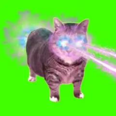 OIIA OIIA COSMIC CAT (Slowed)