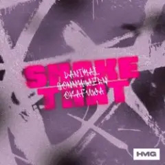 Danimal & Sonny Wern — Shake That