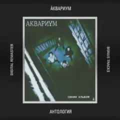 Аквариум — Гость