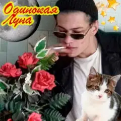 ЮГ 404 — Одинокая луна