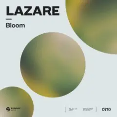 Bloom