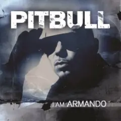 Pitbull feat. Papayo — Armando