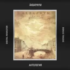 Сельские Лэди и Джентельмены