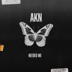 AKN — Needed Me