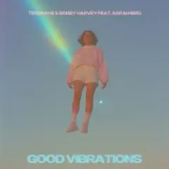 Tensnake & Bobby Harvey & Sarah Bird — Good Vibrations