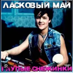 Бездомный пес