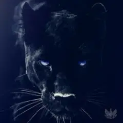 Adam Jamar — Black Panther