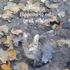 котята (prod. anticøn)