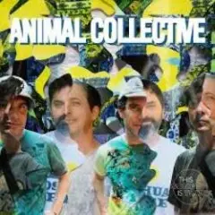 Animal Collective — Mouth wooed her