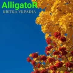 Квітка УКРАЇНА