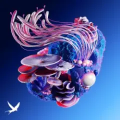 Nightshapes (Bigfett Remix)