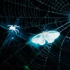 MOTHICA — TOXINS (HEAVY REMIX)