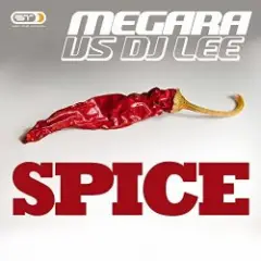 Spice (Single Edit)