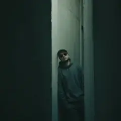 Стіни