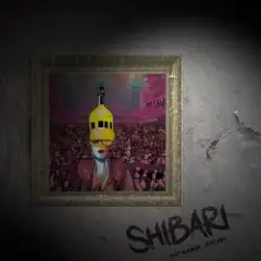 S H I B A R I — Лучшие люди