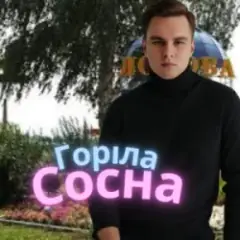Горіла сосна