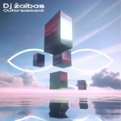 Dj Žaibas — Polaris