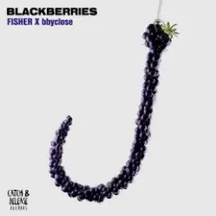 Обложка трека Blackberries (Extended Mix)