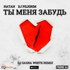 Natan & DJ Piligrim — Ты Меня Забудь